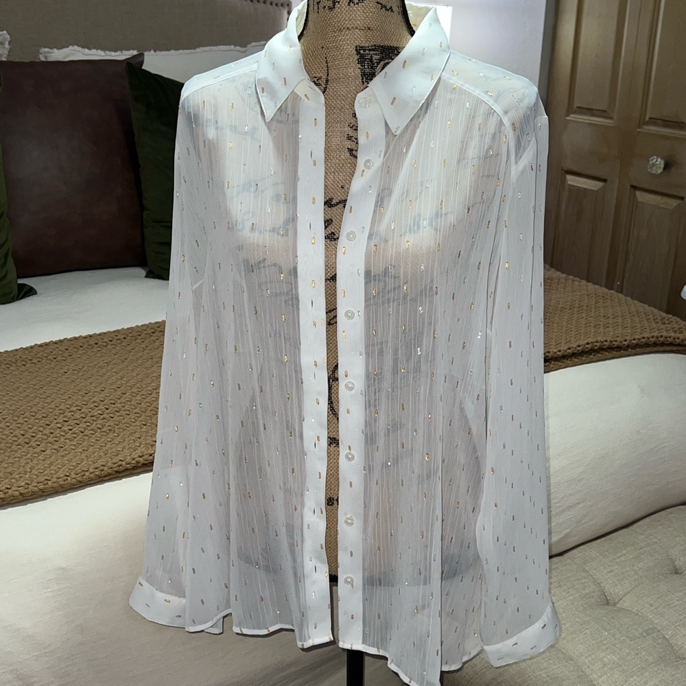 Express Sheer Long Sleeve Collar Shirt